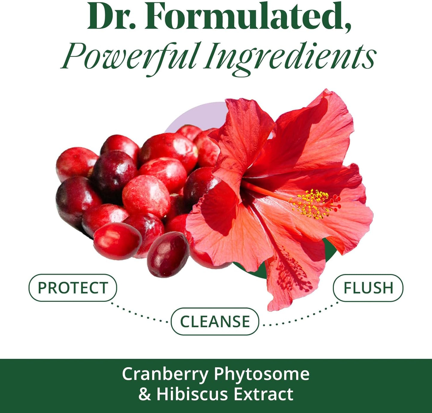 Urinary Tract Cleanse & Protect – 30 Ct, Rapid Relief, Cleanse Biofilm. UTI Prevention Supplement for Women, Support Urinary Tract Health. Combines Cranberry Proanthocyanidins with Hibiscus.