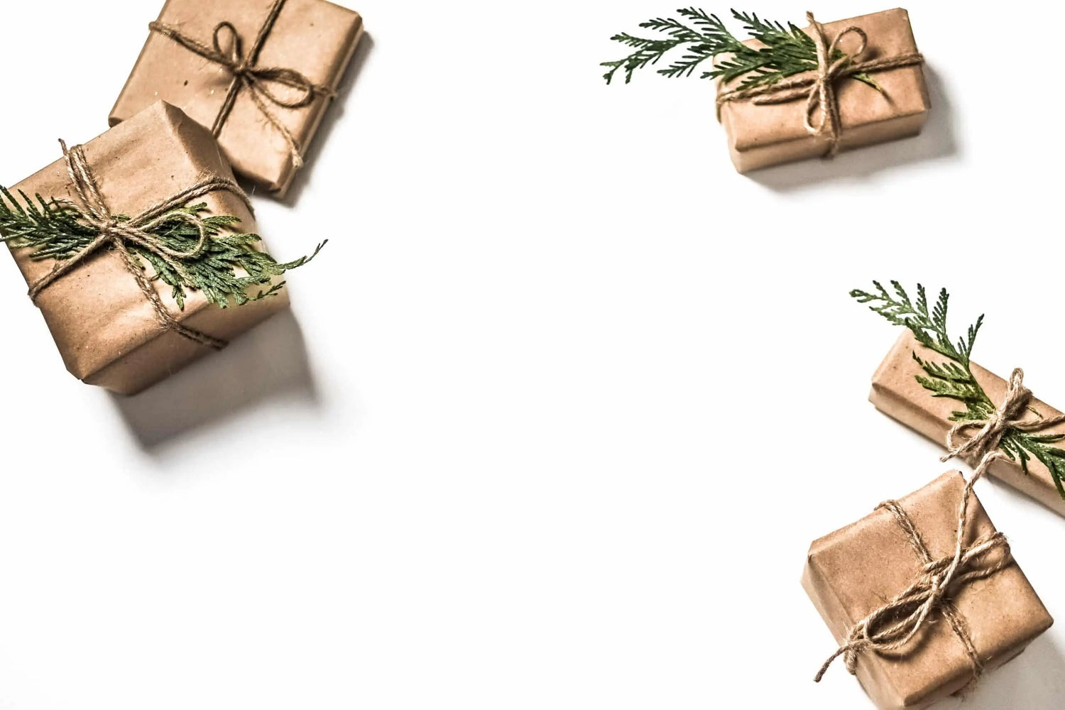 Holiday & Gifts