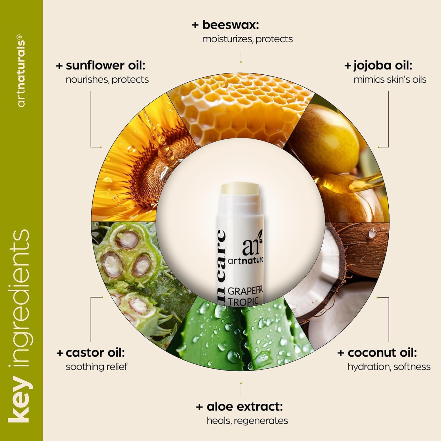 Artnaturals Organic Beeswax Lip Balm Gift Set - Assorted Flavors with Aloe, Coconut & Jojoba Oils