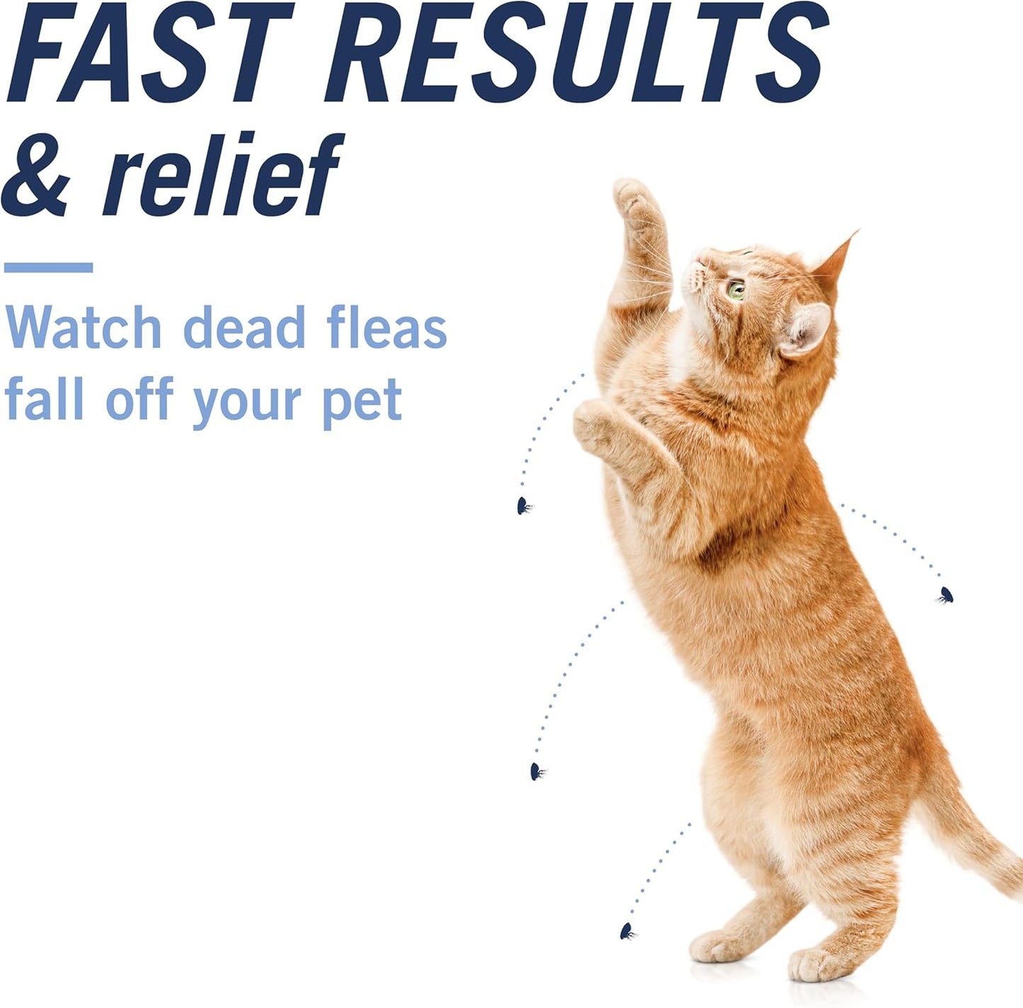 Petarmor CAPACTION (Nitenpyram) Oral Flea Treatment for Cats, Fast Acting Tablets Start Killing Fleas in 30 Minutes, Cats 2-25 Lbs, 6 Doses