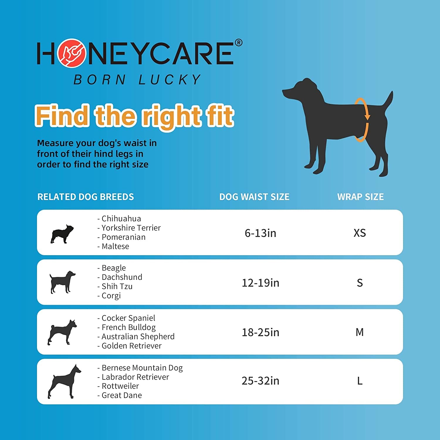 HONEY CARE All-Absorb A26 Male Dog Wrap, 50 Count, Small