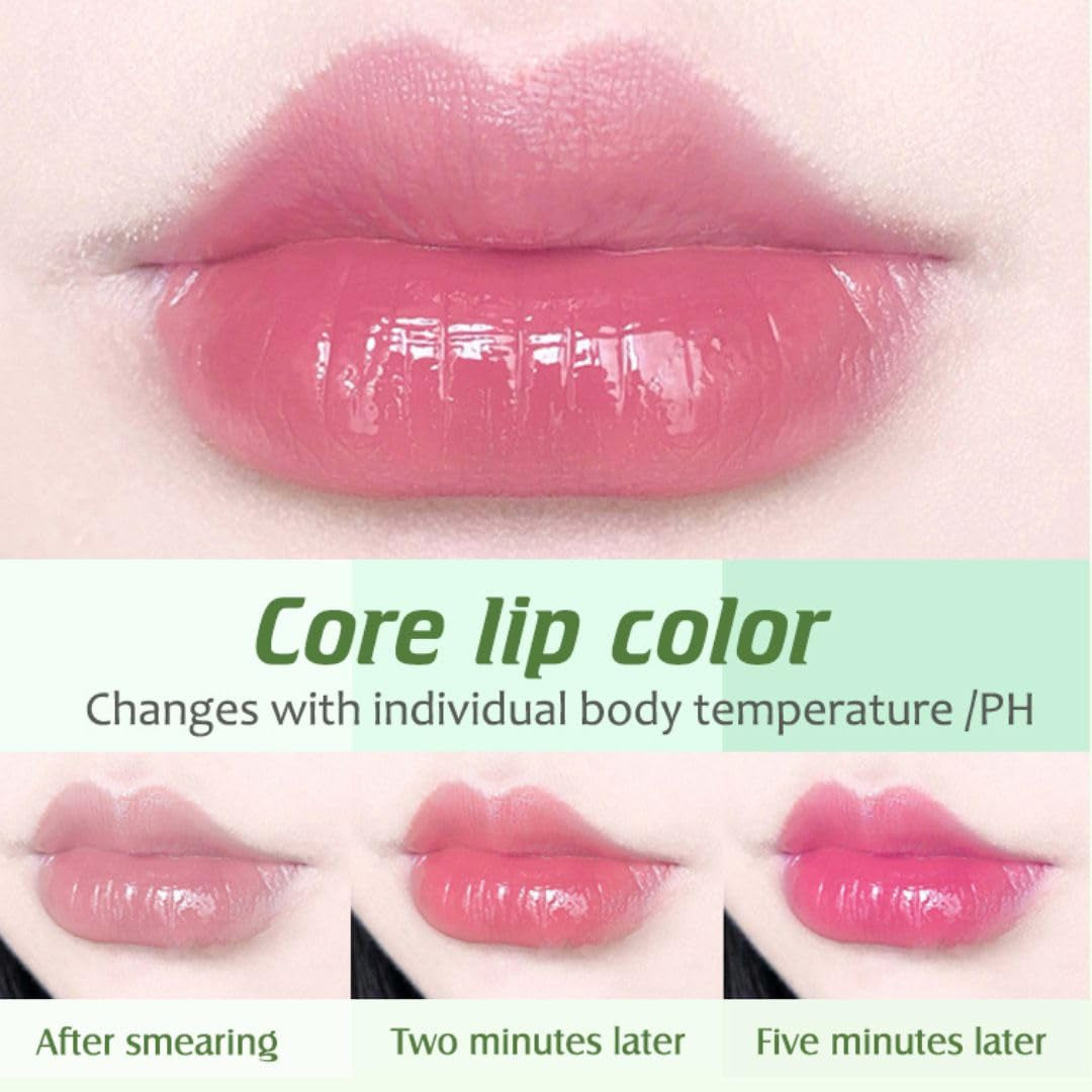 3Pcs Color Changing Lipstick Balm Aloe Vera Avocado Blueberry Three Flavor Combinations for Girls Women Gift Set, Tint Lip Plumpers Makeup Moisturize Lipstick Set