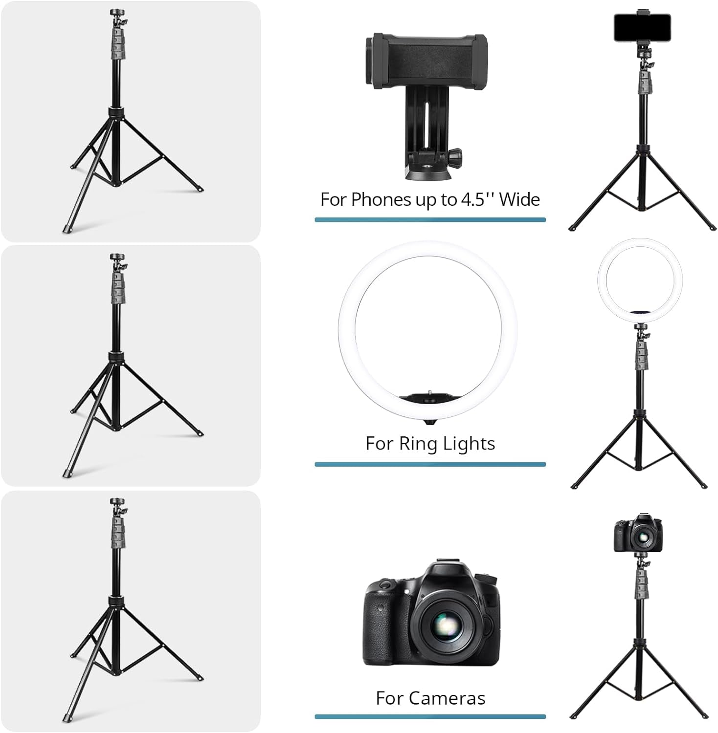 12" Ring Light with Tripod Stand and Phone Holder,Selfie LED Lighting with 62" Phone and Stand,Circle Ringlight for Photography,Tik Tok and Youtube,Compatible with Iphone, Android and Cameras