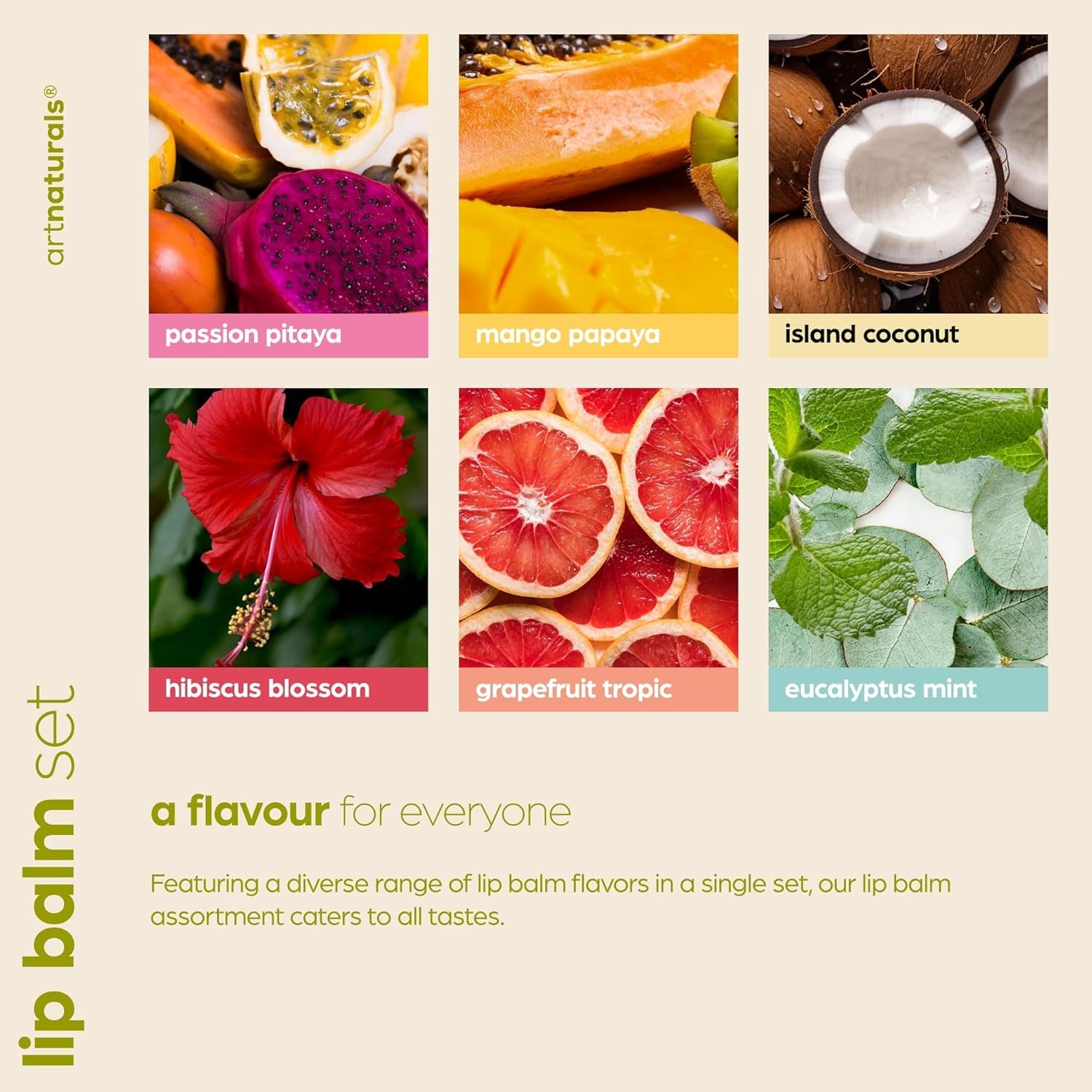 Artnaturals Organic Beeswax Lip Balm Gift Set - Assorted Flavors with Aloe, Coconut & Jojoba Oils